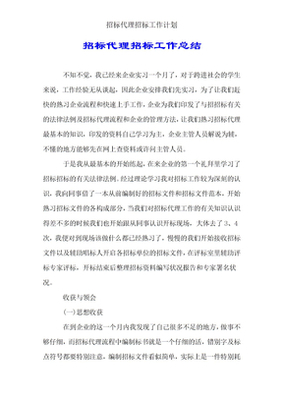 招标代理工作计划
